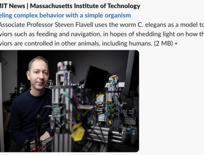 Flavell lab in MIT News